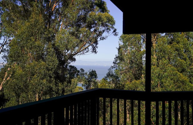 Marbella Lane Eco Friendly Treehouse SFO - Foto 16