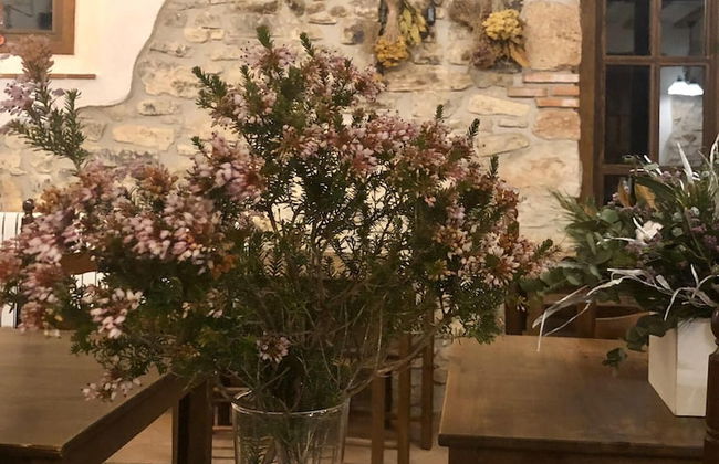 Mas de l'Arlequi Casa rural - Foto 42