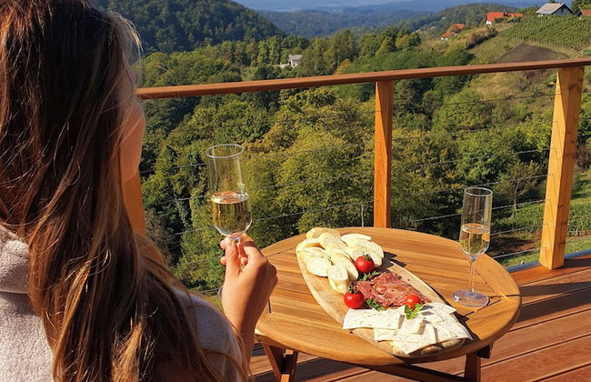 Vineyard cottage Soncni gric - Foto 40