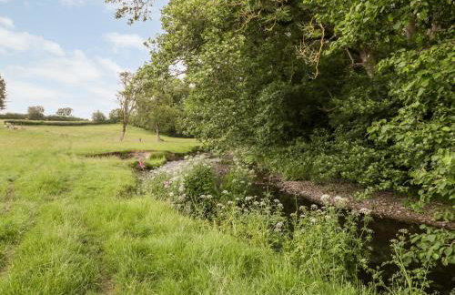 Halls Mill - Foto 39