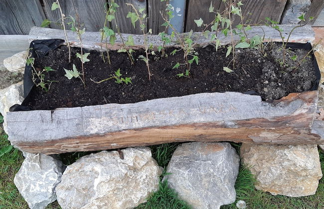 Green Retreat Kuca uz Rijeku za Savrseni Odmor - Foto 31