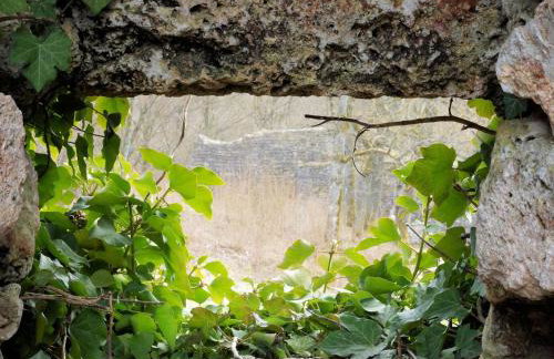 FeWo Die Dittrichs - Photo 8