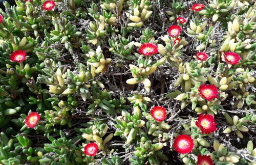 Villa Hakuna Matata - Foto 7