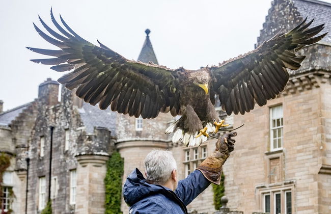 Glenapp Castle - Foto 62