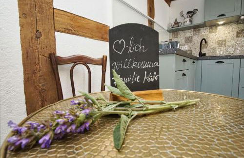 strandnahe Idylle am Meer, private Badestelle mit Strandkorb - Gutshof Ostseeblick FeWo Nr 04 - Photo 10