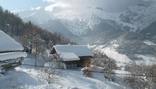 Les Jonquilles - Foto 1