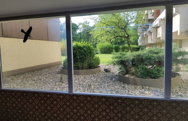 UG Neubau City Wohnung (optional Pool+Gym+2tes Bad extra buchbar) - Foto 36