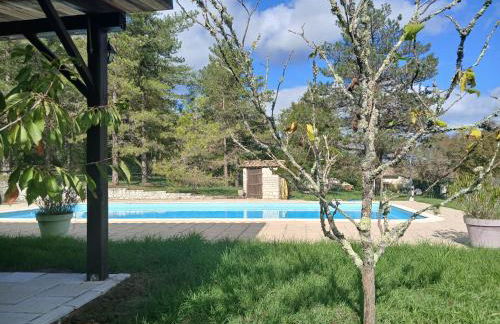 Les Gîtes de La Moure Basse - Foto 18