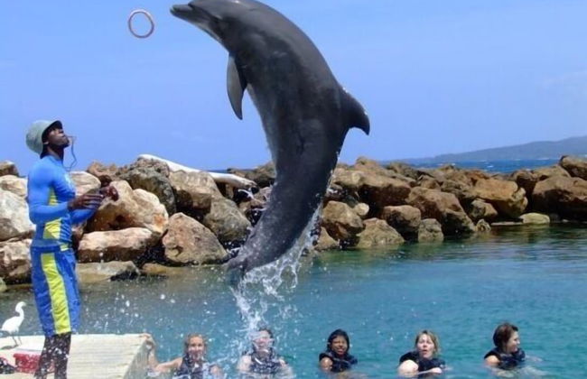 Ocho Rios Villa at The Palms - Foto 63