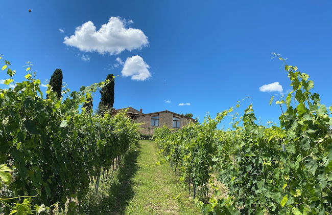 Tenuta Sovestro - Agriturismo e Winery - Foto 69