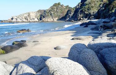 Studio Wilem - Foto 3