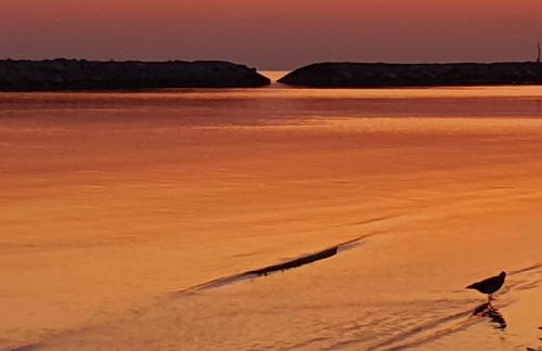 Playa degli Angeli Grecale - Foto 21