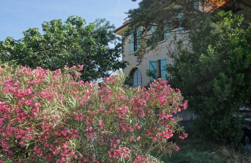 Domaine du Petit Tournebelle - Foto 50