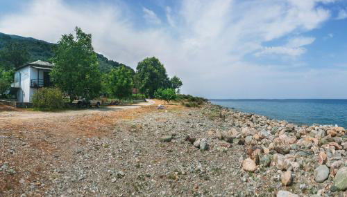 Lemongarden by the sea - Foto 1