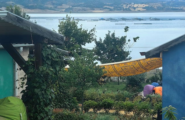 ALMUS ŞEHRİ SEFA BUNGALOV EVLERİ - Foto 1