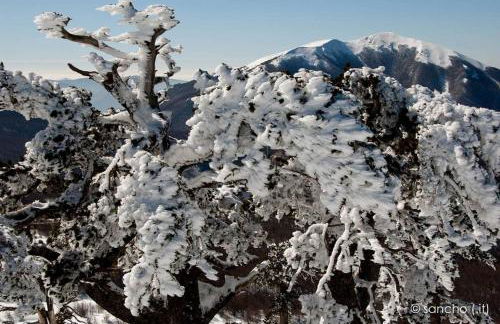 Tana di Zia Nature, Yourself, Love - Foto 47