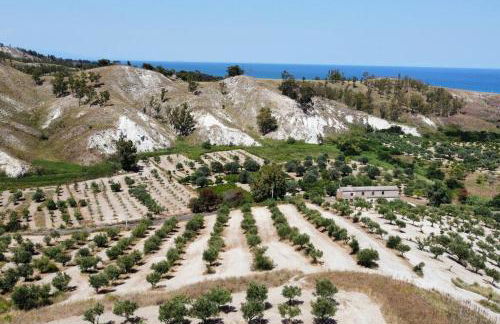 Villa Ulivo a 900 metri dal Mare - Foto 43