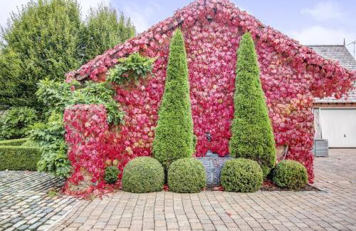 Branden Guest House - Foto 16