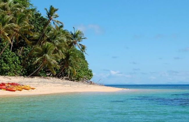 Taveuni Palms - Photo 54