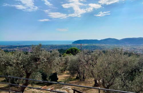 A CASA DI OLIVO - Foto 65