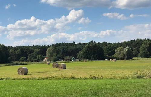 Feriendorf am Weinberg, Dobbrikow - Foto 29
