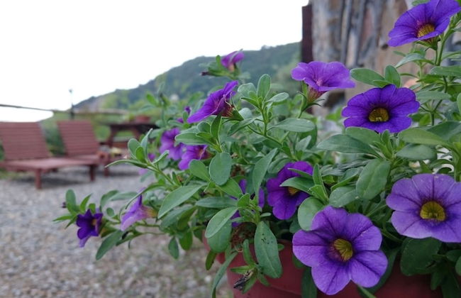 Agriturismo Al Pagan - Foto 30