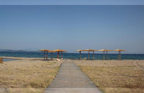 Medusa Gorgon - Photo 12