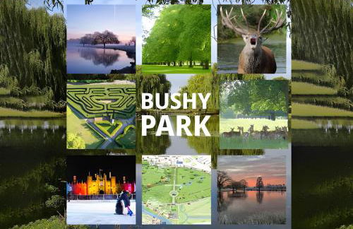 Cosy Studio in Hampton Hill short Walk to Bushy Park with Free Parking and WiFi and Pets welcome - Foto 39