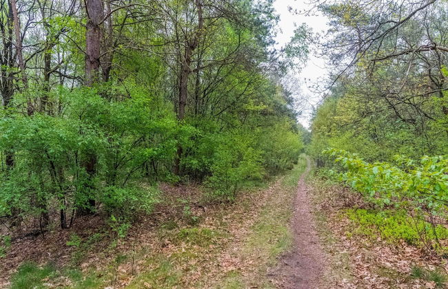 Holiday Home in Garderen by Veluwe - Photo 31