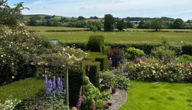 Close House Cottage - Photo 5