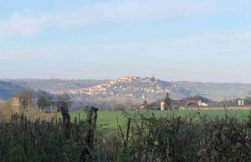 La Bastoulie near Cordes-sur-Ciel - Foto 17