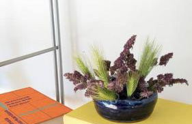 Villa Brunelle, Vue bords de Rance - Foto 38