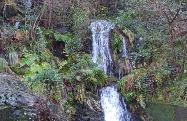 O Ninho 94 - Foto 19