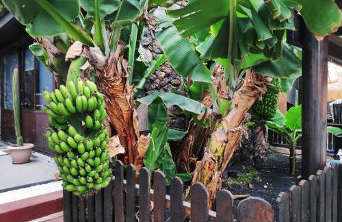 Finca Lucía - El Mirador - Foto 12