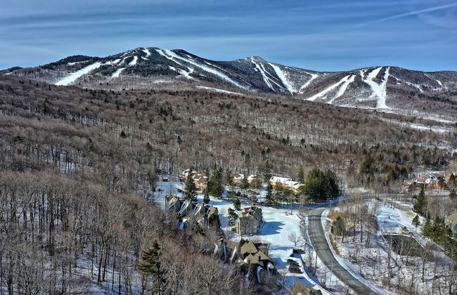 Fall Line Condo D1 1 Bedroom Condo - Foto 34