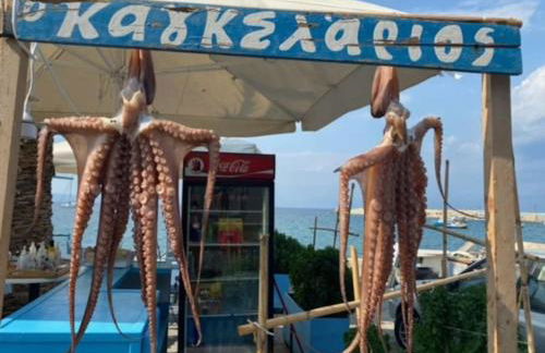 Haus mit Pool im Olivenhain - Foto 52