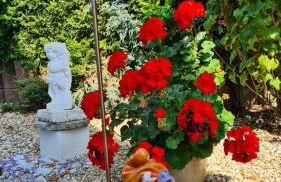 Haus Melzer - Foto 6