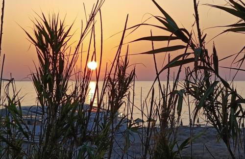 Vista mare e free parking - Foto 8