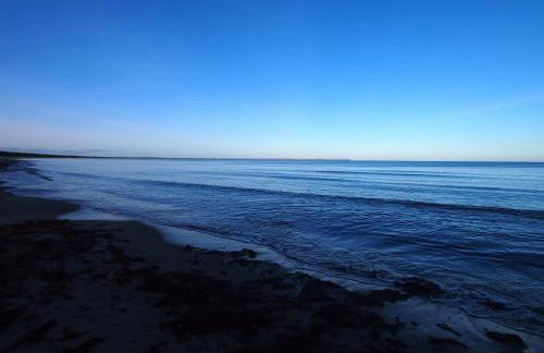 Gut-Rattelvitz-Galerie-D-hochwertig-Sauna-Kamin-eTankstelle-Spielscheune-15-000qm-Parkland - Photo 36