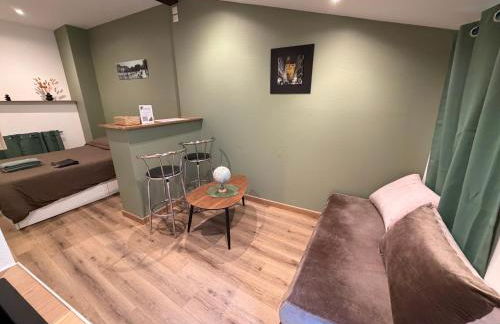 New Le Chouch'heim F1 27 m2 Renovated 2025 clim tv internet - Foto 41