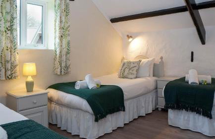 Ta Mill Holiday Cottages & Lodges - Forge Cottage - Foto 20