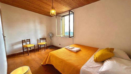 Il castagno - Foto 2