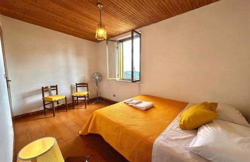 Il castagno - Foto 2