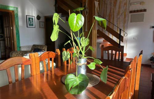 Espejo del Tiétar - La comodidad de baños en suite - Foto 75