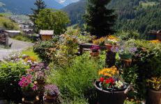 Appartamento Stella Alpina - Foto 6