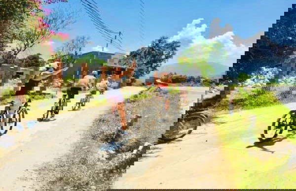 Da Lat Pass Bike Tour - Photo 2