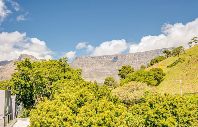 Mountain View Townhouse in De Waterkant 209 DWP - Foto 18