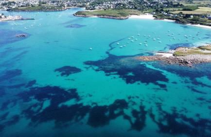 KER HUELLA - Superbe vue mer et accès plage privé - Foto 45