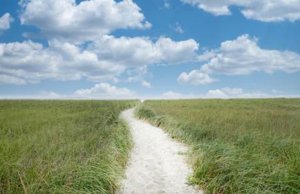 Coastal Escape by Bayley Vacation Rentals - Foto 7