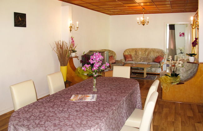 Alexorella - Foto 12